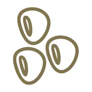 Sustainably Sourced